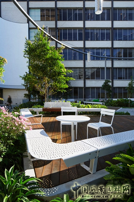 悉尼科技大學(xué)校友綠地