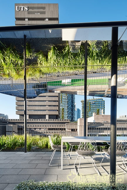 悉尼科技大學校友綠地