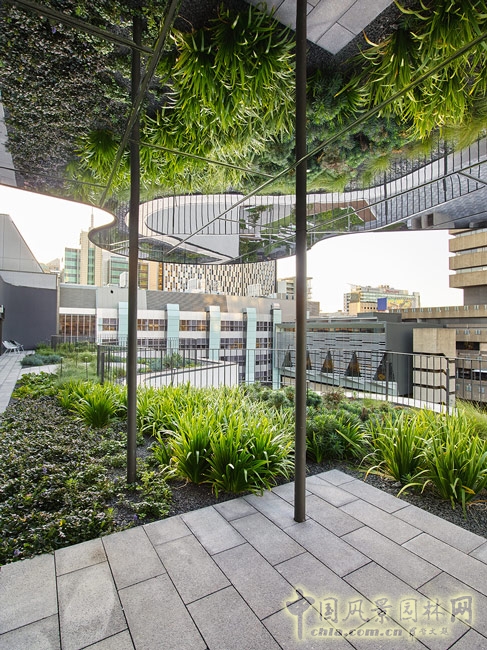 悉尼科技大學校友綠地