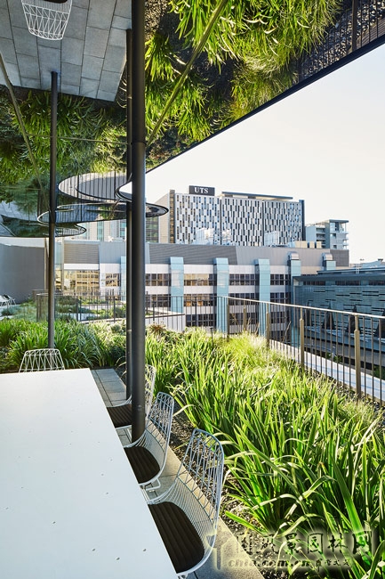 悉尼科技大學校友綠地