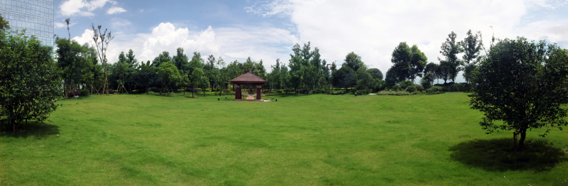 婚慶廣場(chǎng)完工效果