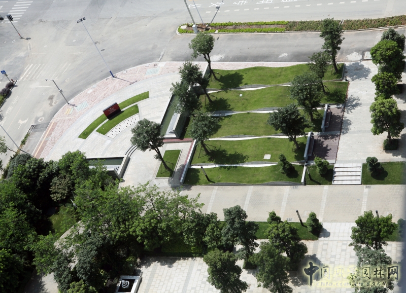 西北角弧形廣場及波浪草坪樹陣廣場橫豎板材模數統一實現對縫關系