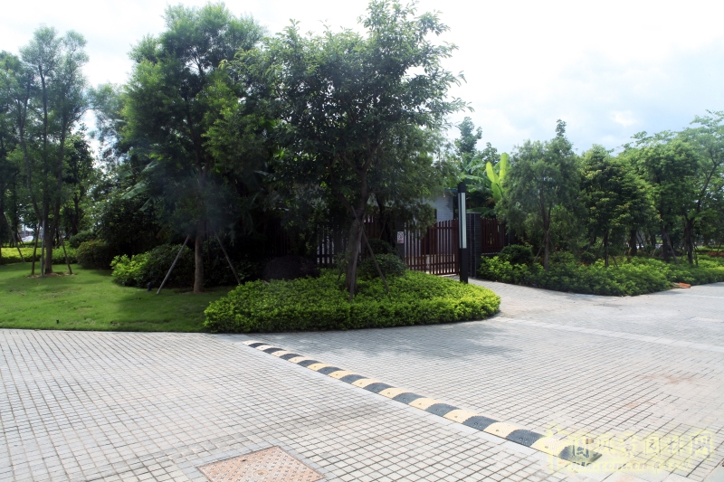 燃?xì)夥客鈬坝^綠化包裹