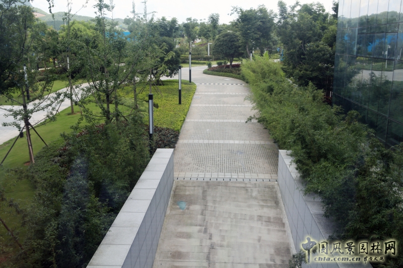 主樓南側(cè)地庫出口景觀