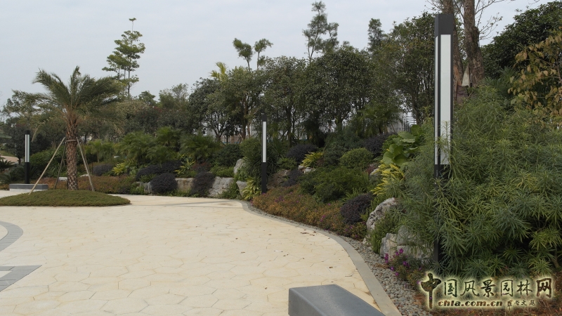 泳池一側景石綠化造景