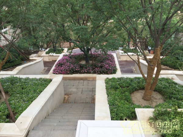 2015住宅景觀獎格拉斯四期園林景觀工程