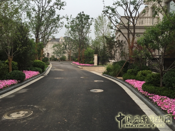 2015住宅景觀獎(jiǎng)格拉斯四期園林景觀工程