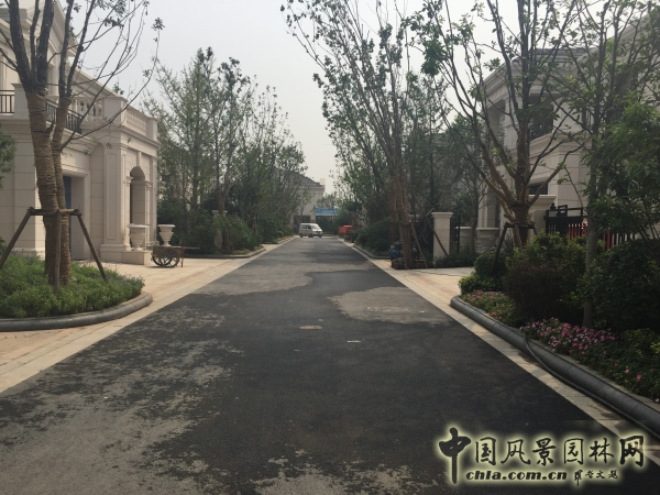 2015住宅景觀獎(jiǎng)格拉斯四期園林景觀工程