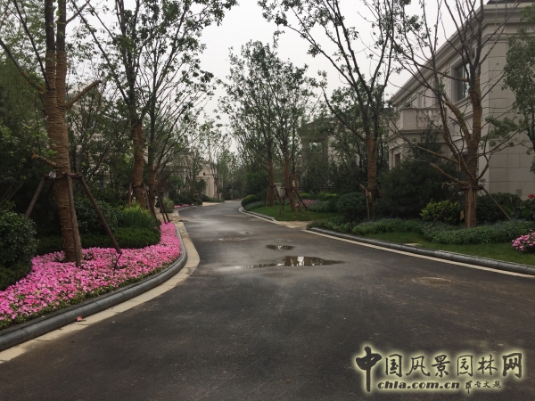 2015住宅景觀獎格拉斯四期園林景觀工程