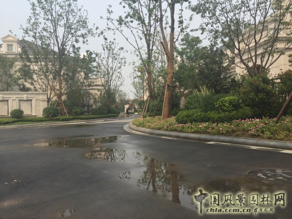 2015住宅景觀獎格拉斯四期園林景觀工程