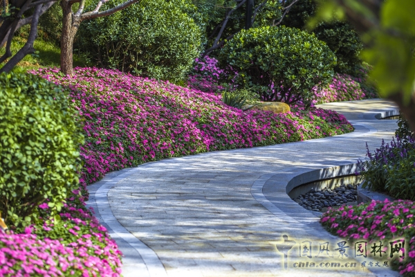 首創(chuàng)禧瑞墅