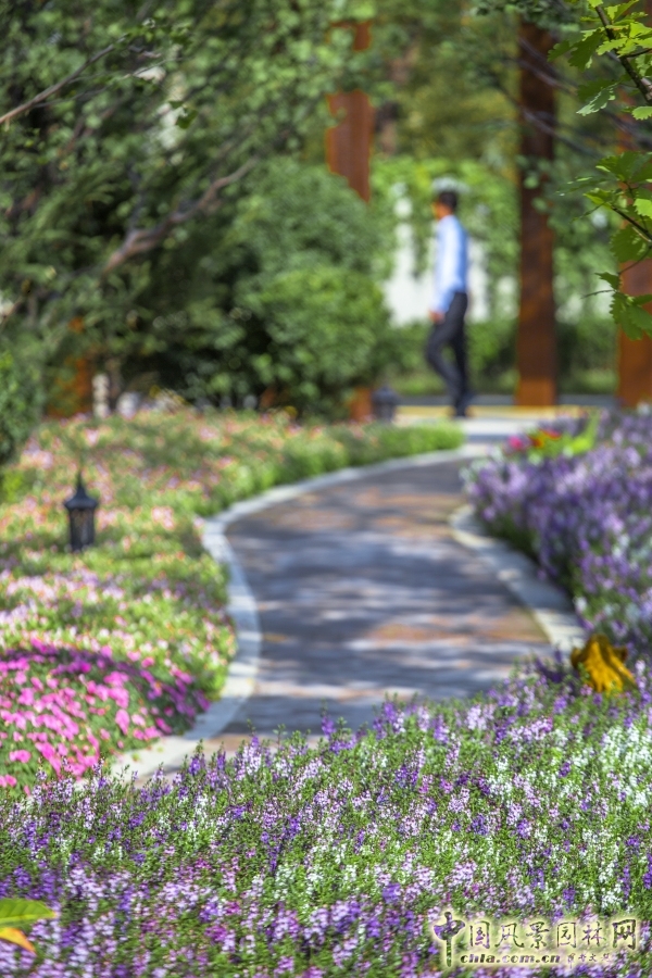 首創(chuàng)禧瑞墅