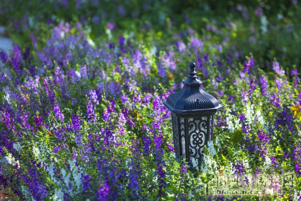 首創(chuàng)禧瑞墅