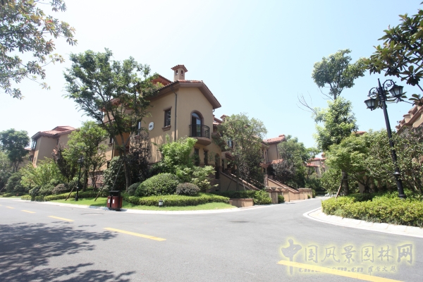 2015住宅景觀獎(jiǎng):洞庭湖國際公館一期別墅景觀綠化