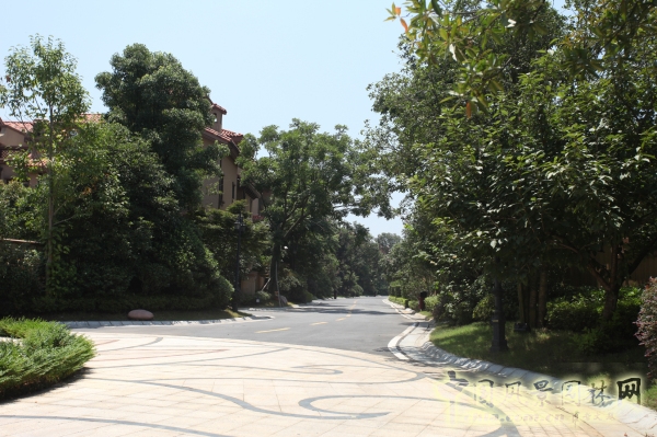 2015住宅景觀獎:洞庭湖國際公館一期別墅景觀綠化