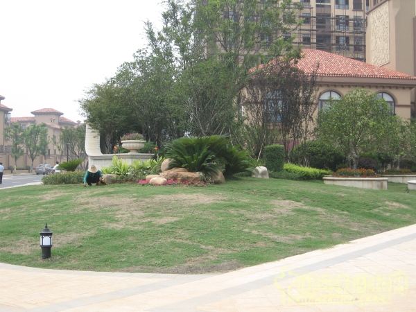 2015住宅景觀獎:洞庭湖國際公館一期別墅景觀綠化