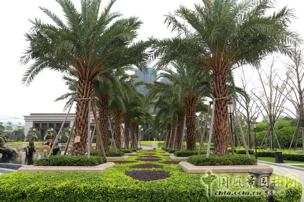 2015園冶杯住宅景觀獎(jiǎng)大獎(jiǎng):福州﹒陽(yáng)光凡爾賽宮