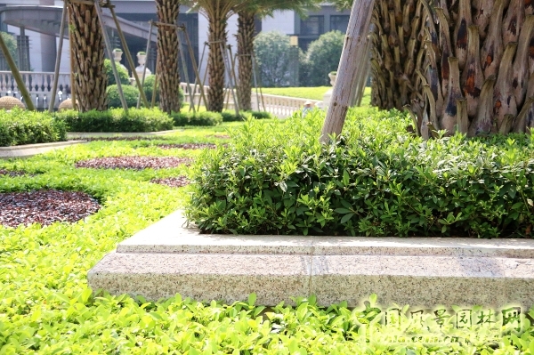 2015園冶杯住宅景觀獎大獎:福州﹒陽光凡爾賽宮