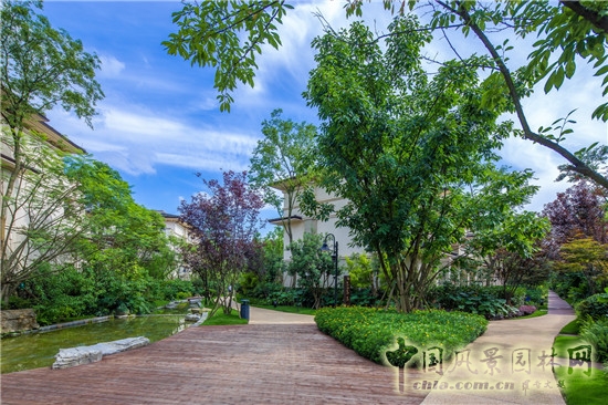 平和優(yōu)雅的人居美 藍調國際項目展示