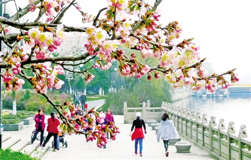 住建部:生態(tài)園林城市是園林城市升級版