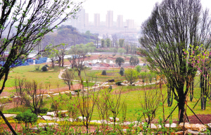 重慶今后城市能“吸水” 不再擔(dān)心下暴雨