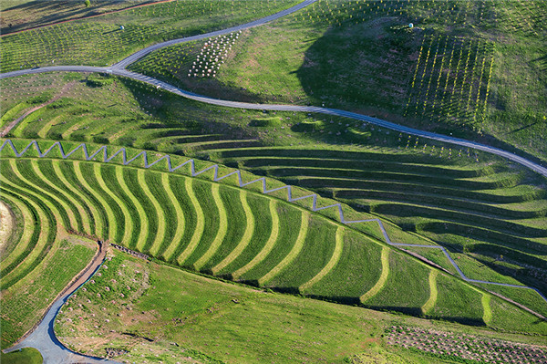 森林100 - 堪培拉國家植物園