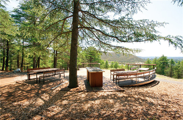 森林100 - 堪培拉國家植物園