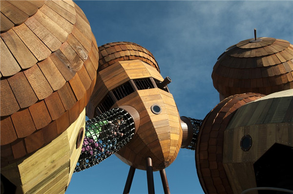 森林100 - 堪培拉國家植物園