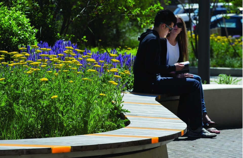 麻省藝術(shù)與設(shè)計(jì)學(xué)院宿舍樓前小廣場(chǎng)設(shè)計(jì)