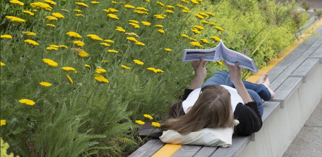 麻省藝術(shù)與設(shè)計(jì)學(xué)院宿舍樓前小廣場(chǎng)設(shè)計(jì)