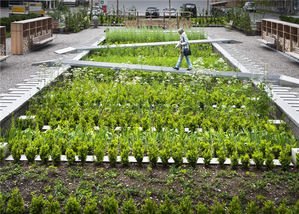 被隱藏的寶地 瑞士藥理花園