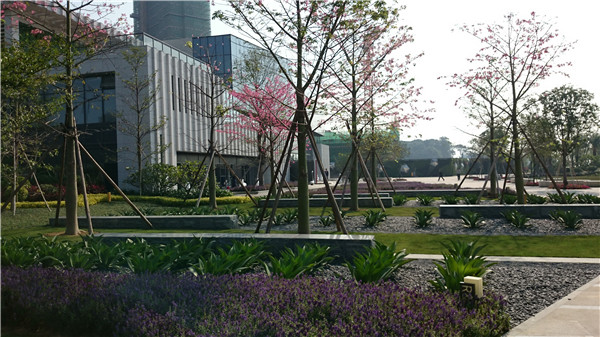 2015精品園林獎設計類大獎：富力·天海灣