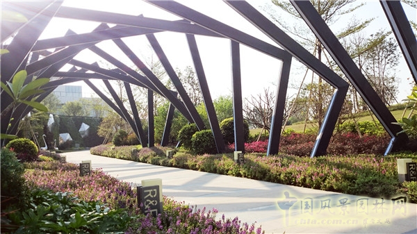 2015精品園林獎設計類大獎：富力·天海灣