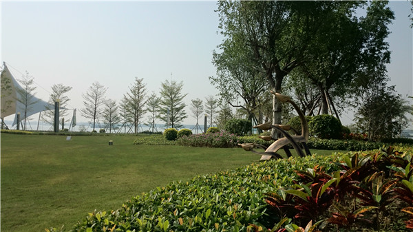 2015精品園林獎設計類大獎：富力·天海灣