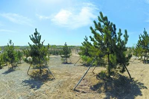 北京東北部最大濕地公園開建 預計3到5年內建成