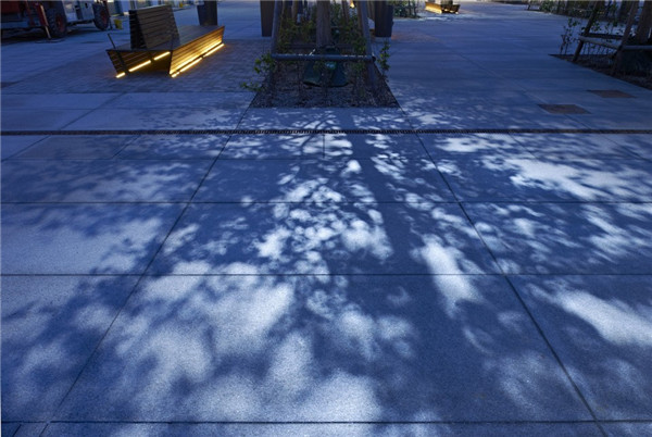 瑞典：馬爾默城市“森林”廣場