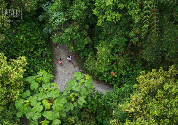 花園城市新加坡:鬧市區分布大片原始雨林