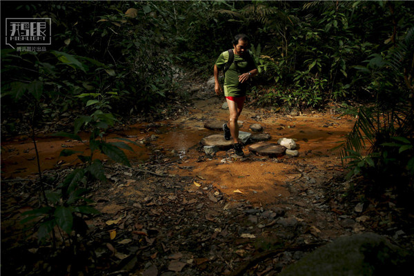 花園城市新加坡：鬧市區(qū)分布大片原始雨林