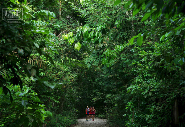 花園城市新加坡:鬧市區分布大片原始雨林