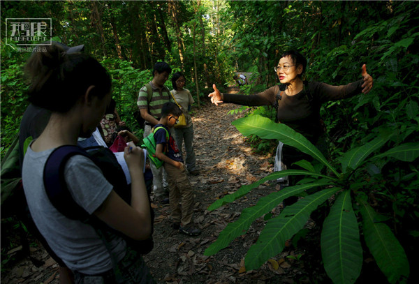 花園城市新加坡:鬧市區分布大片原始雨林