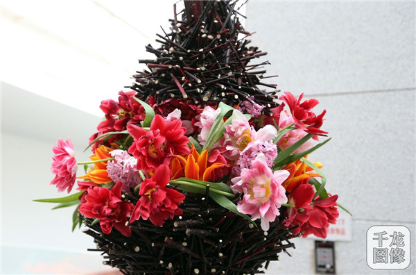 國泰郁金香首次亮相中國園林博物館