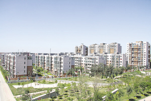 天津:張家窩鎮全力打造生態綠化