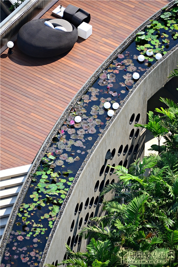 泰國芭提雅希爾頓酒店屋頂花園