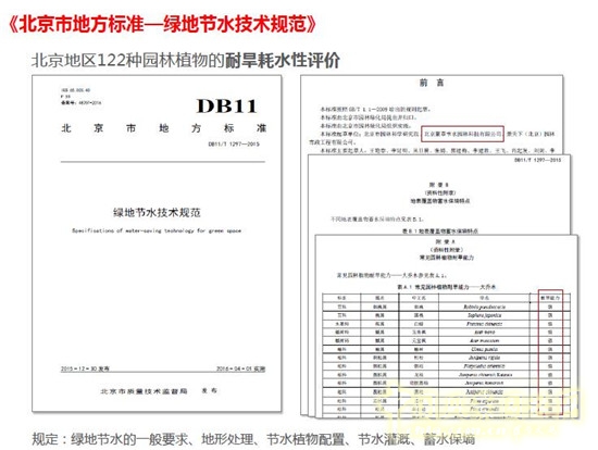郭建梅：節水園林——蒙草遇上節水的時代