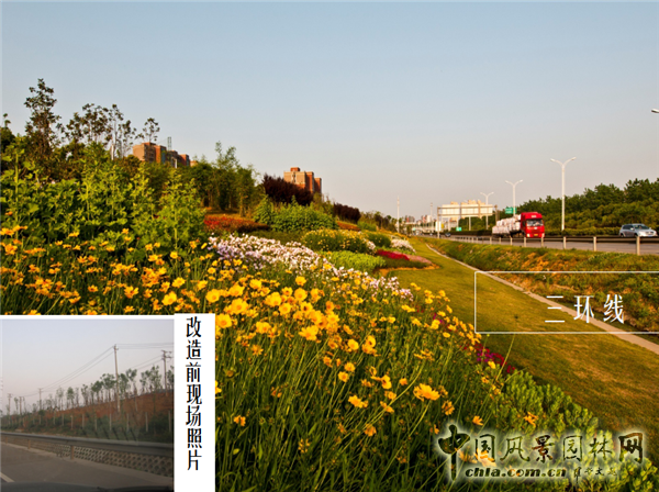 謝先禮：第十屆中國（武漢）國際園林博覽會總體規劃概述