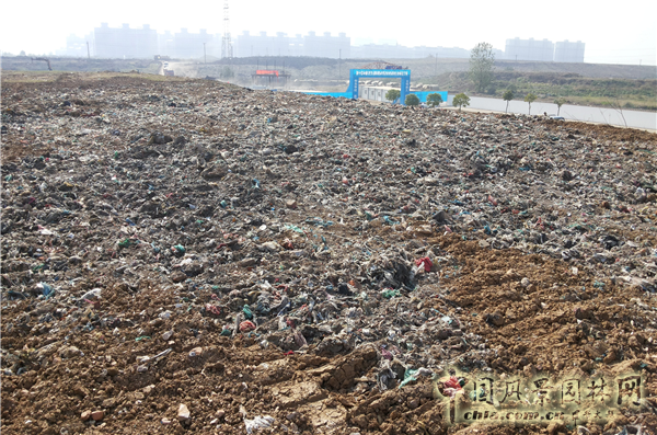 謝先禮：第十屆中國（武漢）國際園林博覽會總體規劃概述