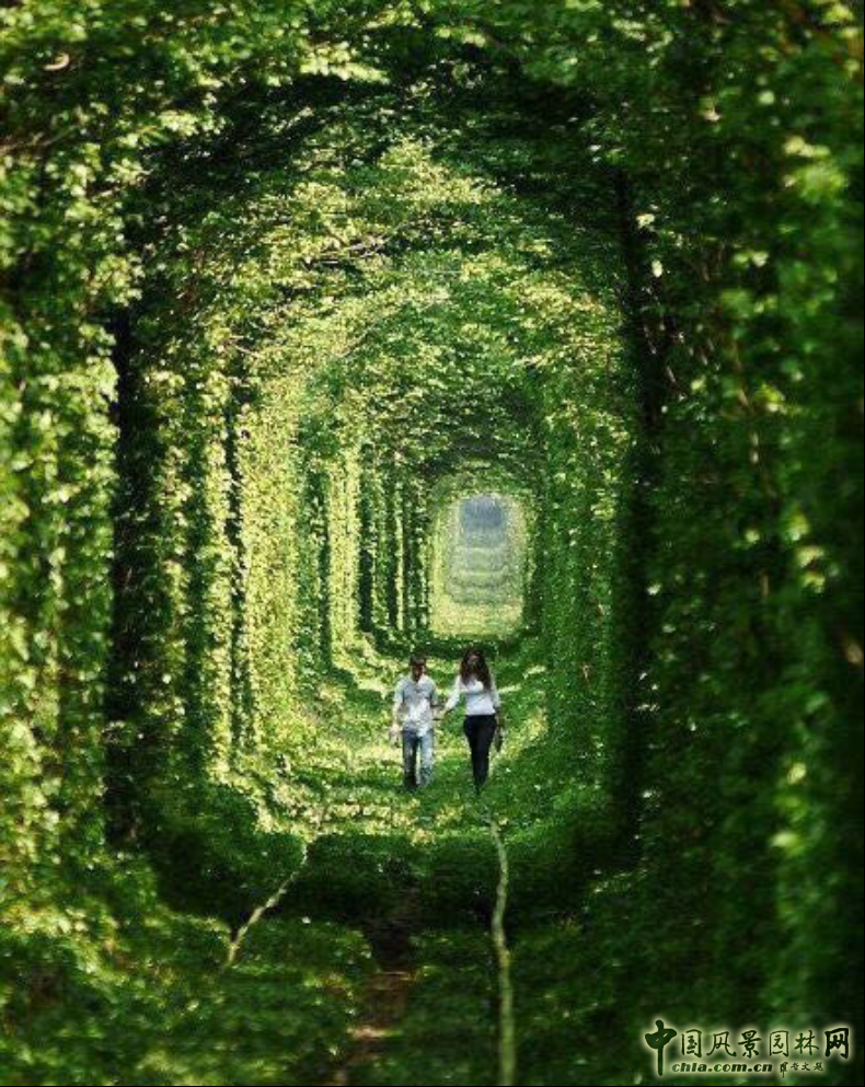 胡海波：探尋莫奈的足跡——理想瀾灣主題景觀營造