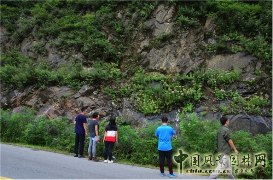 James Hitehmough：發(fā)展可持續(xù)城市的植物群落