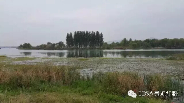 關于舉辦濕地公園案例項目考察的邀請函