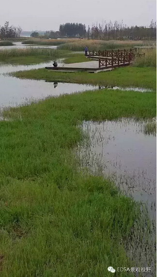 關于舉辦濕地公園案例項目考察的邀請函